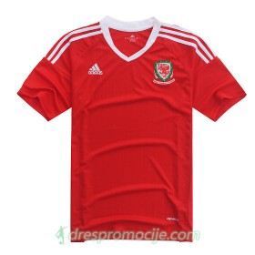 Wales Dres Domaći Euro 2016