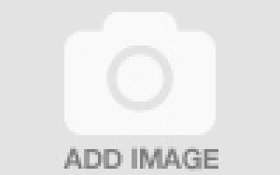 Manchester United 3-0 Brighton & Hove Albion